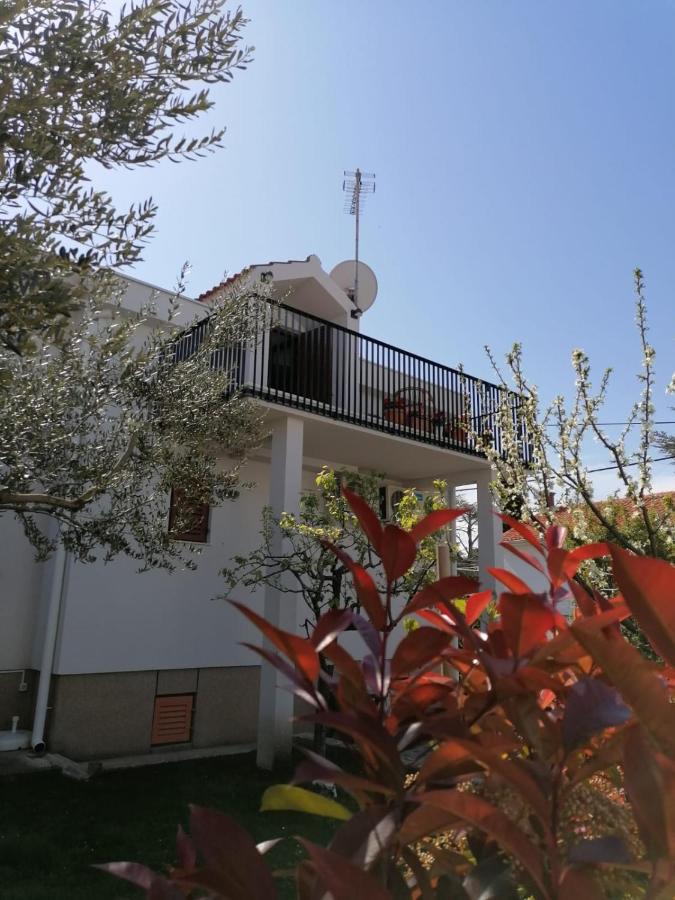 Apartment Magnolia Петркане Екстериор снимка